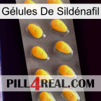 Gélules De Sildénafil cialis1